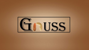 Logo Gnuss