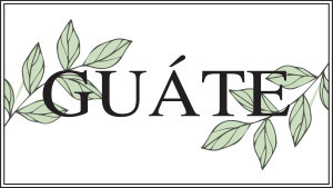 Logo Guáte