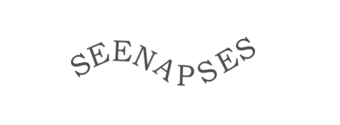 Logo SEENAPSES